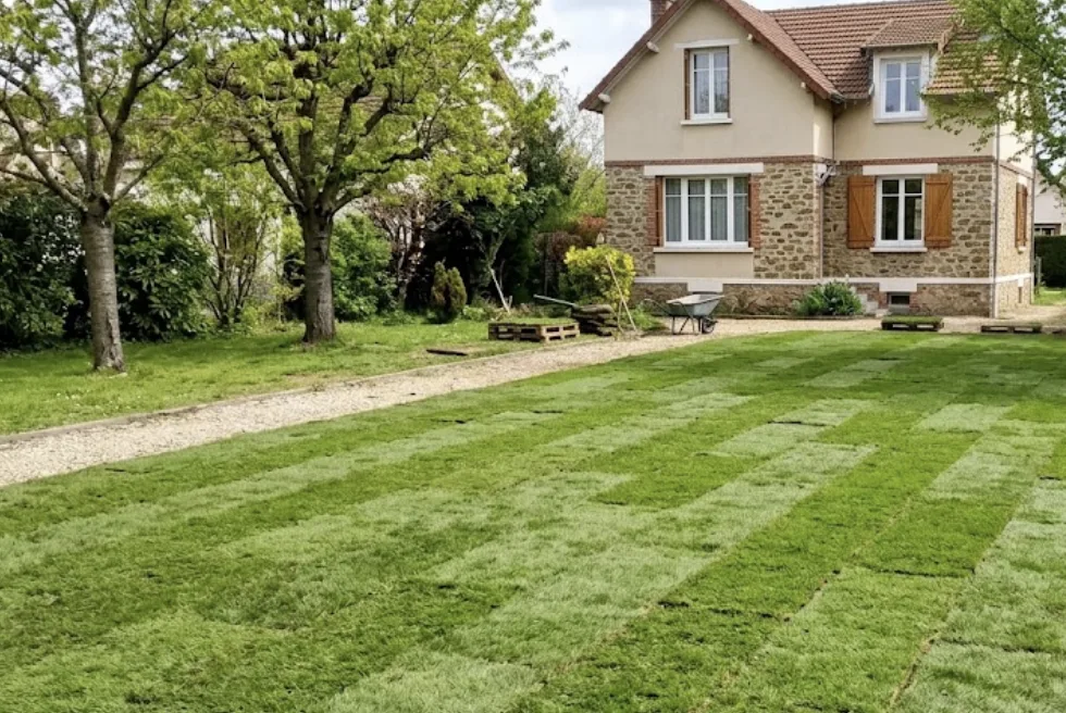 Gazon en plaques posé dans un jardin au Pecq